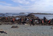 VII Open Vila de Baiona de pesca submarina
