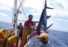 Los socios de Interfish dan un paso histórico en el VI aniversario de la única interprofesional pesquera de España