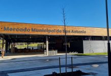 Tui celebra el Día do Mercado con degustaciones y producto local