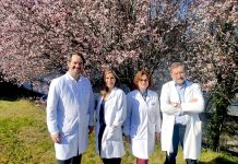 Galzheimer Care presenta en Vigo una guía para poder afrontar los problemas de conducta en el Alzhéimer desde casa