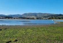 Diputación organiza una ruta ornitológica por A Foz da Ramallosa y Praia América