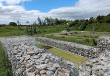 Aimen desarrolla soluciones basadas en la naturaleza para hacer frente al cambio climático y la escasez de agua