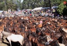 Mougás celebra su tradicional curro
