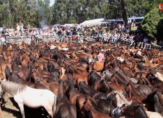 Mougás celebra su tradicional curro