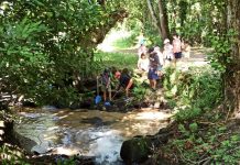 Donde viven los cuentos de Nigrán traslada su modelo de “escuela en el bosque” al centro de Vigo