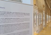Ya se puede visitar en Tui la exposición “O Herbario de Rosalía”
