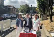 Vigo inicia la humanización en el Paseo de Granada