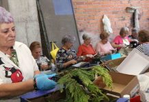 O Porriño celebra el Corpus Christi con alfombras florales y música