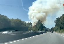 Controlado el incendio forestal de Tui