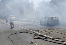Arde un coche en Tui y provoca un pequeño incendio forestal, otro en O Porriño causa retenciones en la A-55