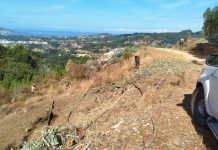 Nigrán invierte más de 200.000€ al año en su propia brigada forestal