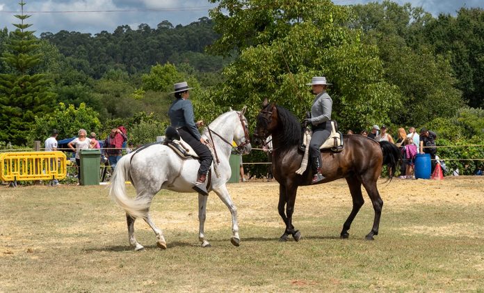 Concentración Cabalar San Bartolomeu