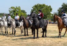 Concentración cabalar en Tui
