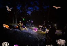 El Aloia se llena de magia en una noche bajo las estrellas