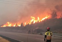 El Consorcio Provincial de Pontevedra contra incendios contará con 21 nuevas plazas