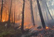 Violeta de Santiago critica la falta de políticas de prevención de incendios en Tomiño