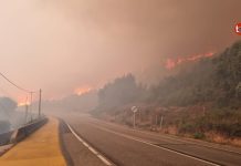 Vithas Vigo advierte del impacto del humo de incendios en la salud cerebral