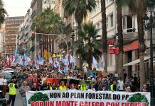 Máis de 45.000 persoas bótanse á rúa en toda Galicia contra «a política forestal do PP» e en solidariedade cos afectados polos lumes