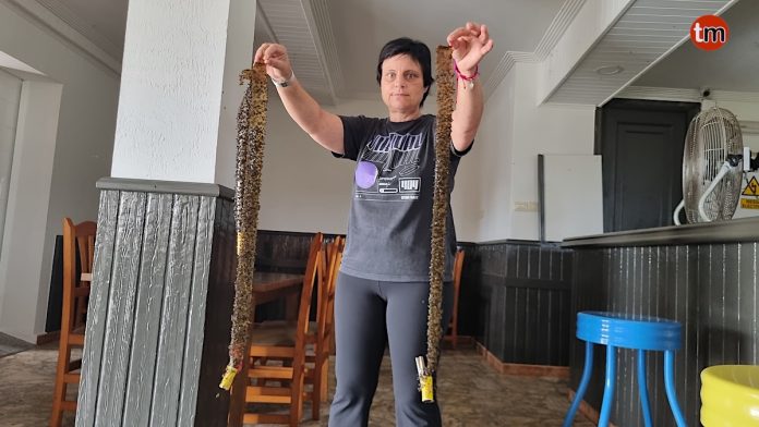 plaga de moscas forcadela restaurante bodegas los rodriguez