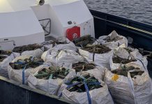 Gardacostas decomisa más de 2.250 cacharros de pulpo en A Guarda con 194 kilos de esta especie