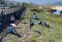 Nigrán se suma un año más a la limpieza simultánea de ríos en la desembocadura del Muíños