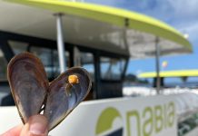 Nigrán amplía la inscripción para la excursión en barco con degustación de mejillones