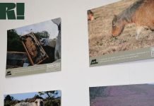 El Multiusos de Sabarís acoge la exposición itinerante de RURALtXA!