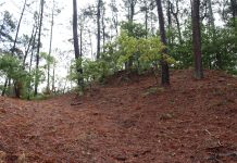 Una intervención arqueológica en Tomiño revela un posible fortín estratégico contra una invasión portuguesa
