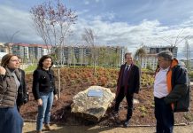 Vigo invierte 500.000 euros en un nuevo espacio de ocio en Navia