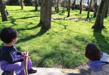 Semente Vigo celebra 12 años de educación transformadora “Entre Contos e Carvalhos”