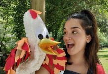 O Rosal llena de cultura, patrimonio y ocio su otoño con una intensa programación