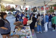 Avelaíña A Guarda celebra el Día Mundial de la Salud Mental con una jornada participativa en la calle