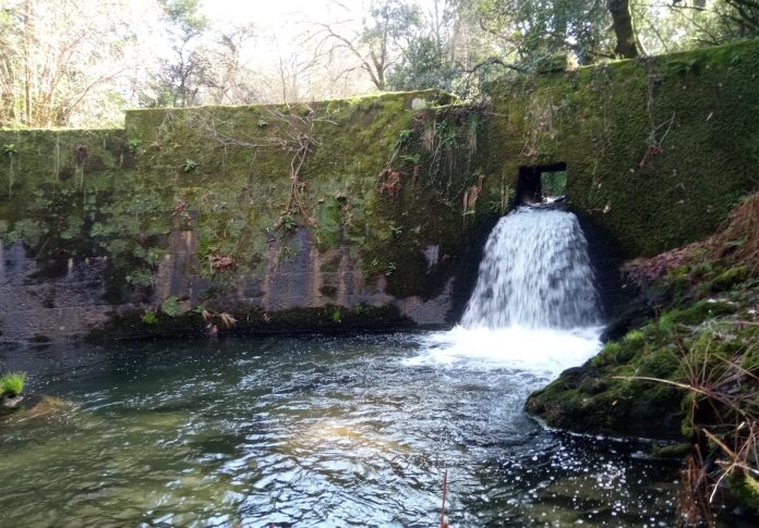Fábrica da Luz de Pegonegro