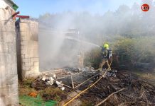 Proyecto Gato pide ayuda urgente tras el fuego que arrasó parte de su refugio