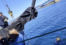 Enaleia y Allianz amplían sus esfuerzos de limpieza marina con un nuevo proyecto con el Puerto de Vigo