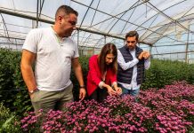 Galicia se sitúa como una potencia en la planta ornamental y la flor cortada