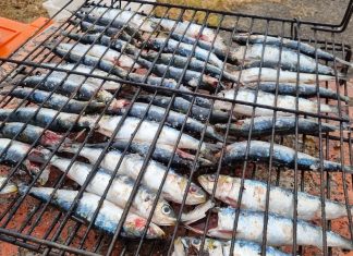 Baiona celebra la romería de la Virxe da Rocha con sardinas y choripán