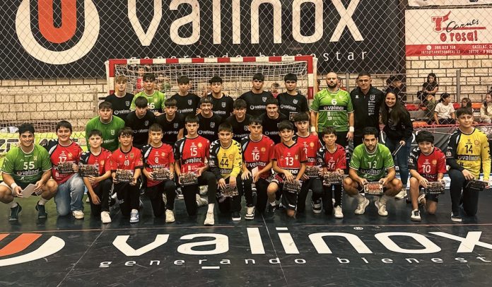 valinox novas base