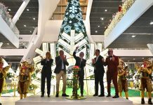 Vialia Vigo enciende la Navidad con su “Bosque Mágico”