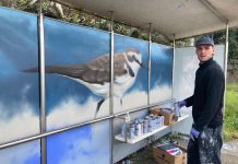 Nigrán convierte sus paradas de bús en arte