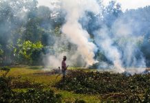 Ya se pueden solicitar los permisos para las quemas agrícolas