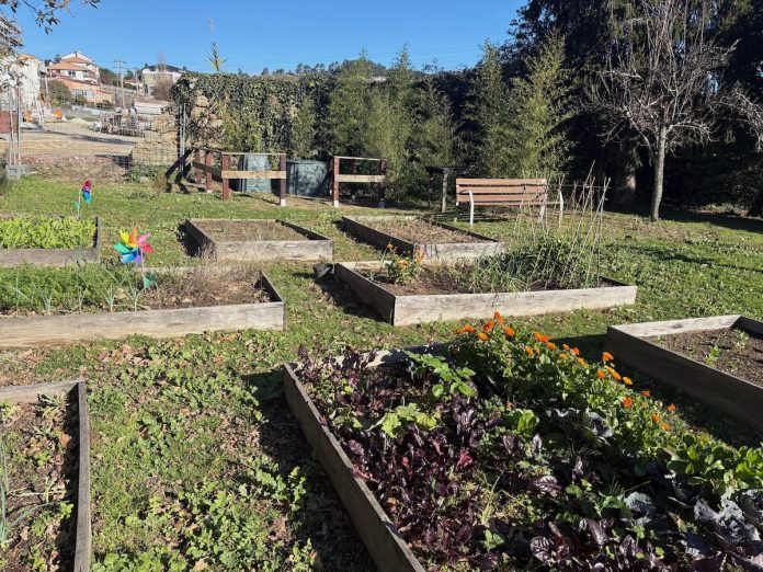 economía circular nigran