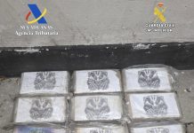 Dos detenidos tras intentar introducir más de 80 kilos de cocaína a través del puerto de Vigo