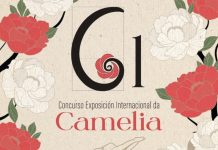 Vigo acoge la LXI edición del Concurso-Exposición Internacional da Camelia