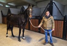 Nace en O Rosal Cuadras José Ferreira, una nueva explotación de cría de caballos de deporte