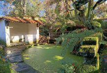 Contaconto, xogo e galego no Arboretum polo día internacional da lingua materna