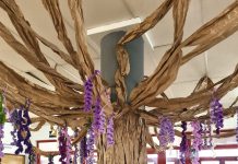 Un árbol de glicinias para reivindicar el 8M en el IES Auga da Laxe