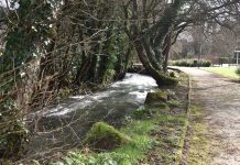 Mos revalida el distintivo “Sendero Azul” para el Paseo do Louro