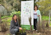 Tomiño consolida su campaña “Rodéate de Vida” con el reparto de 1.500 árboles autóctonos