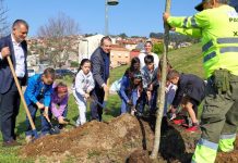 Escolares de Vigo aprenden que “as árbores son a vida” en el Día del Árbol